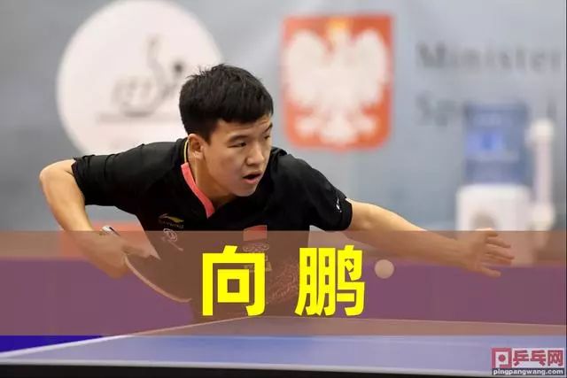 自己的角色 自己的角色