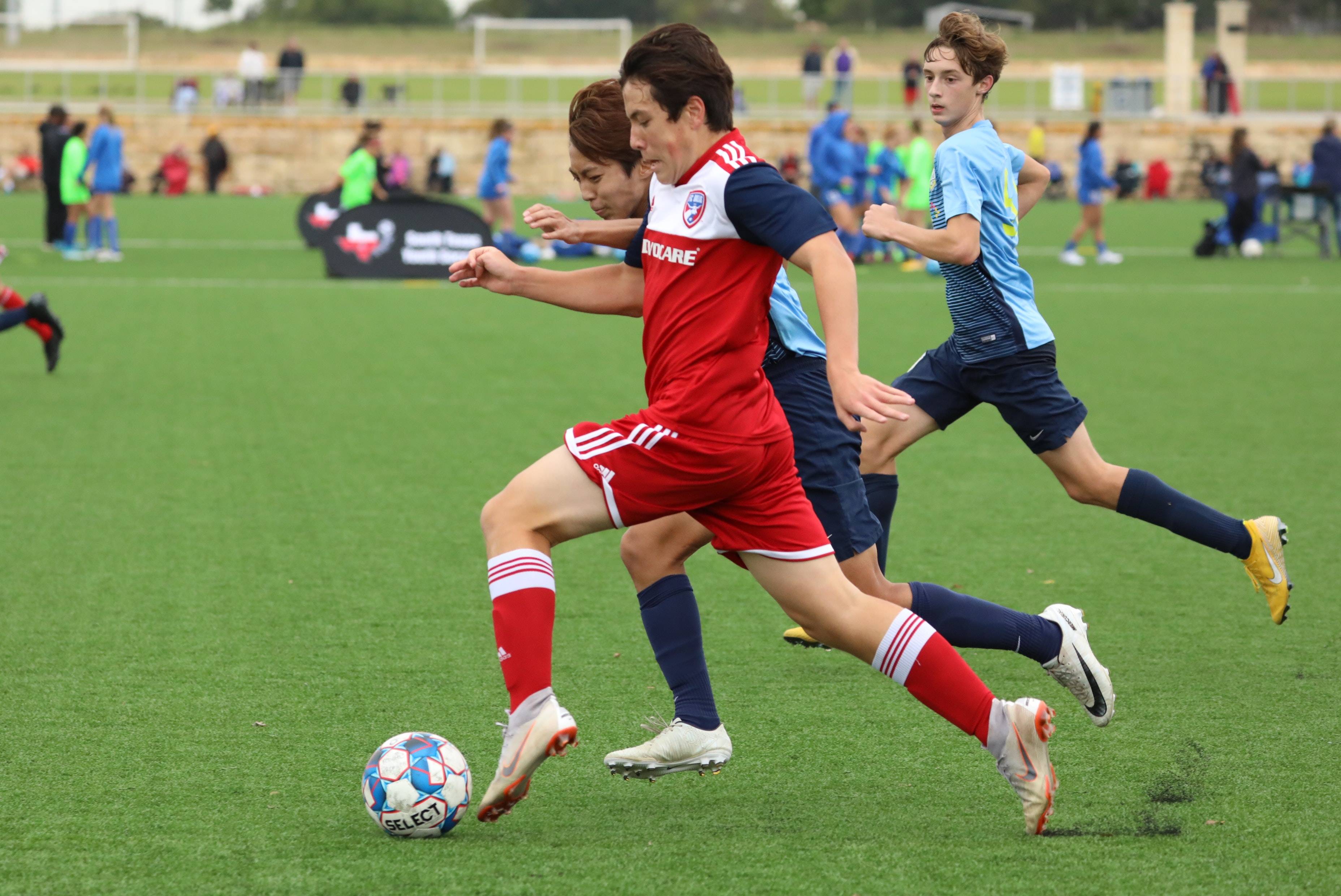 而戴维斯则 而戴维斯则