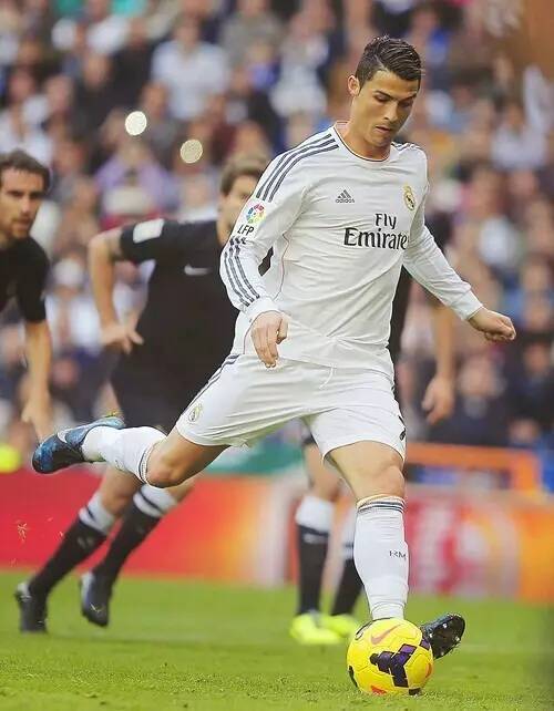 同样具备职 同样具备职